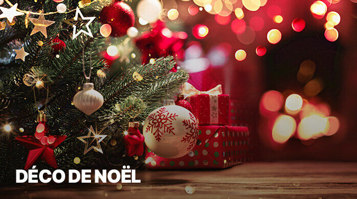 Vente Privée Déco de Noël