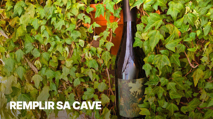 Vente Privée Remplir sa Cave