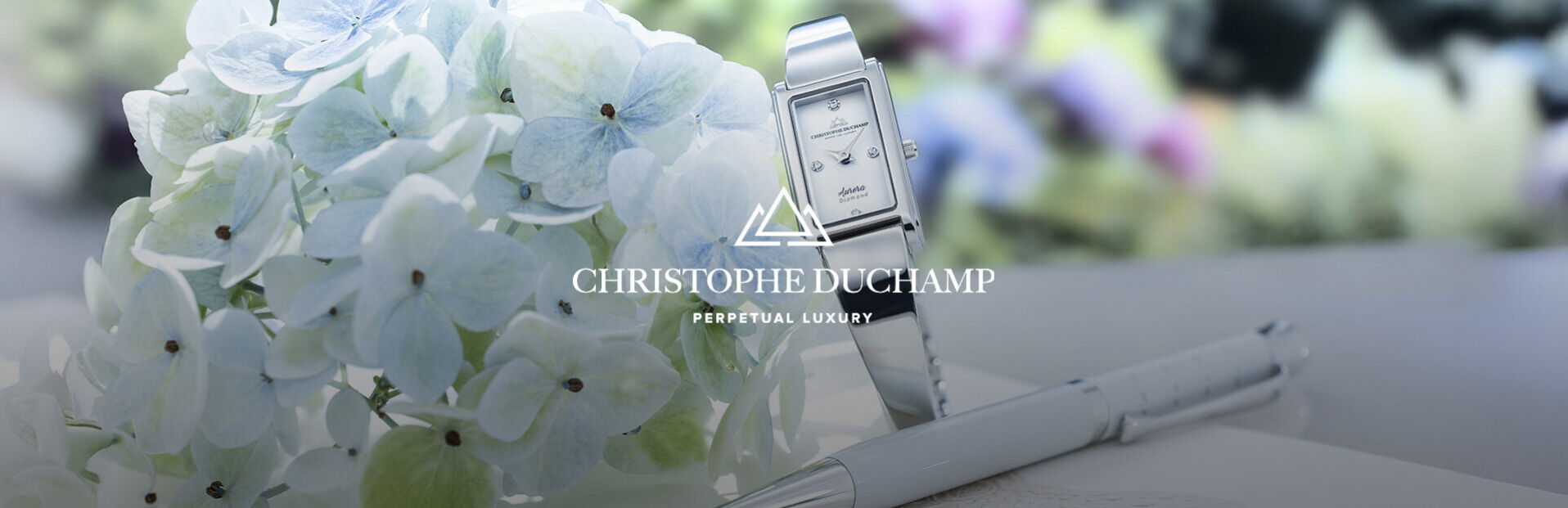 Vente Privée Christophe Duchamp