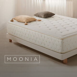 Outlet Moonia