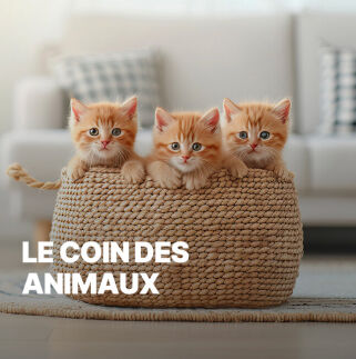 Outlet Le coin des animaux