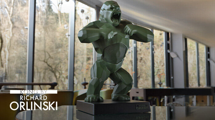 Vente Privée Kong Orlinski