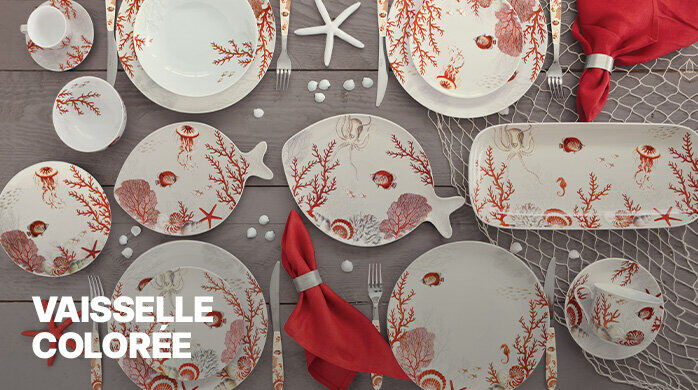 Vente Privée Vaisselle Colorée