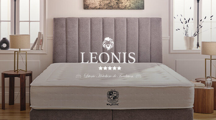 Vente Privée Leonis