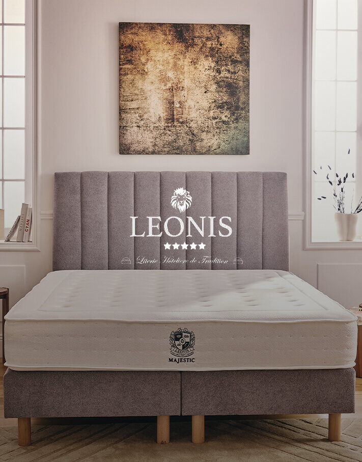 Vente Privée Leonis