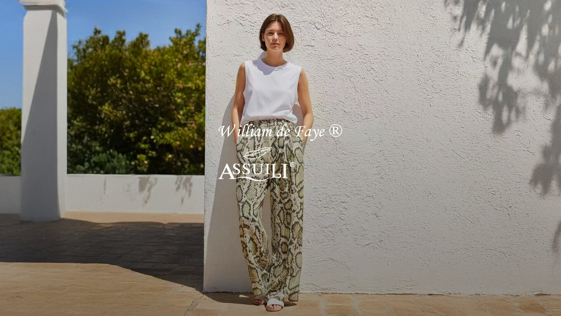 Vente Privée William de faye - Assuli