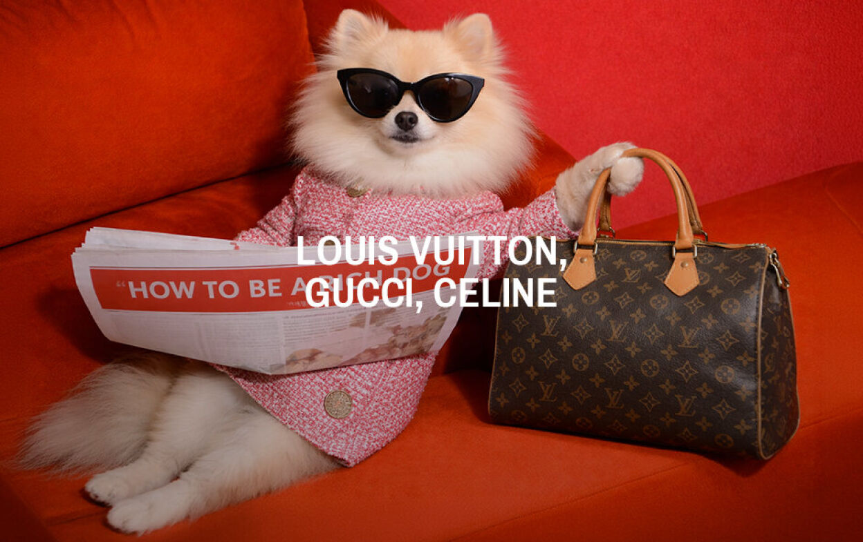 Vente Privée Louis Vuitton, Gucci, Celine