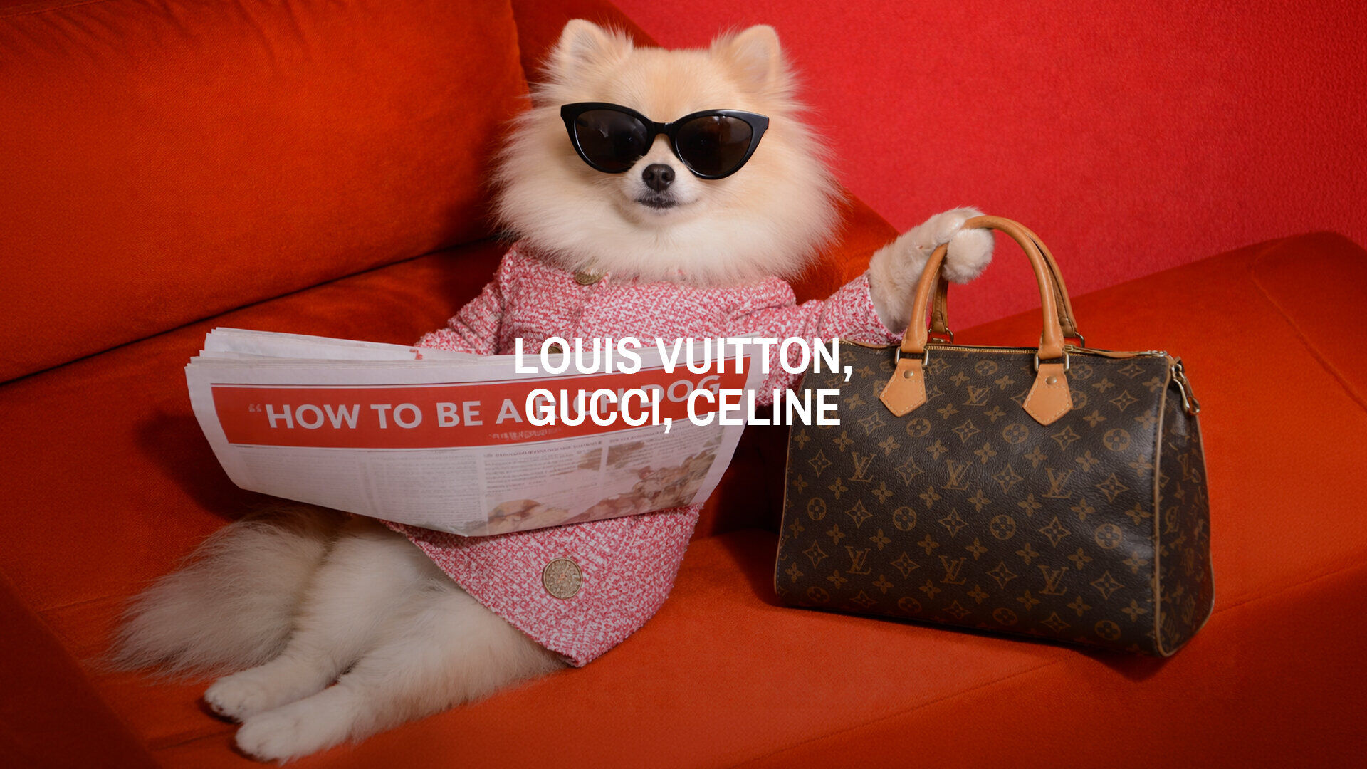 Vente Privée Louis Vuitton, Gucci, Celine