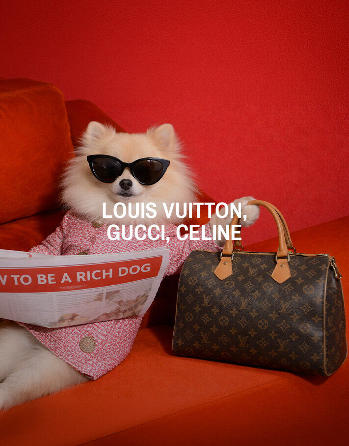 Vente Privée Louis Vuitton, Gucci, Celine