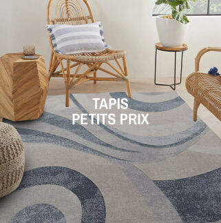 Outlet Tapis petits prix