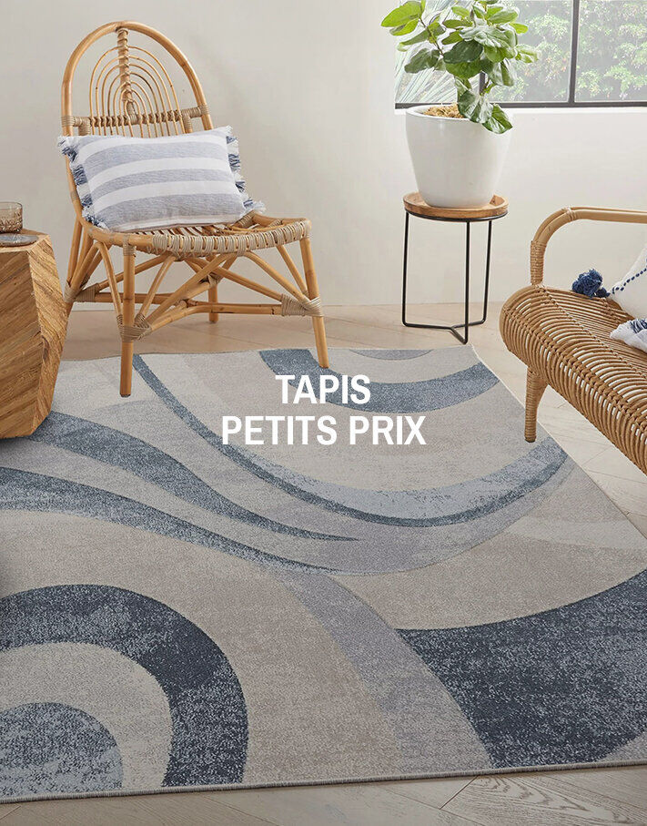 Vente Privée Tapis petits prix