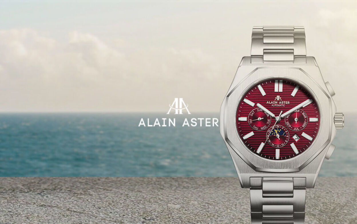 Vente Privée Alain Aster