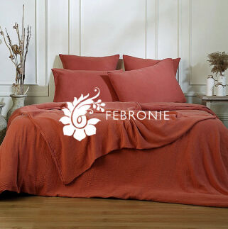 Outlet Febronie
