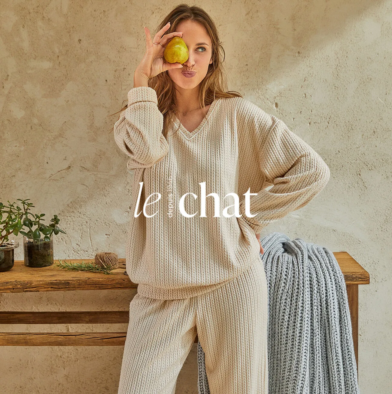 Le Chat