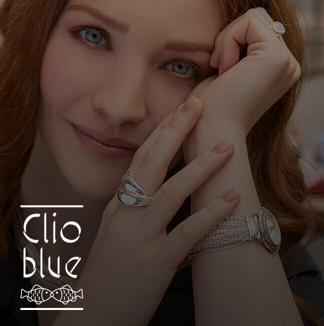 Vente Privée Clio Blue