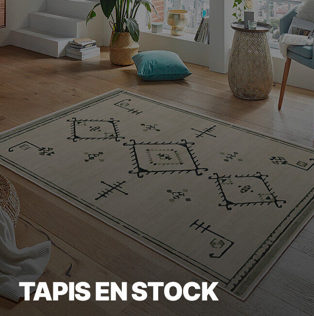 Vente Privée Tapis en stock