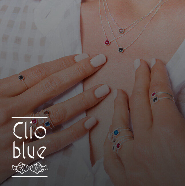 Vente Privée Clio Blue