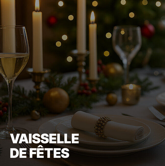 Vente Privée Vaisselle de Fêtes
