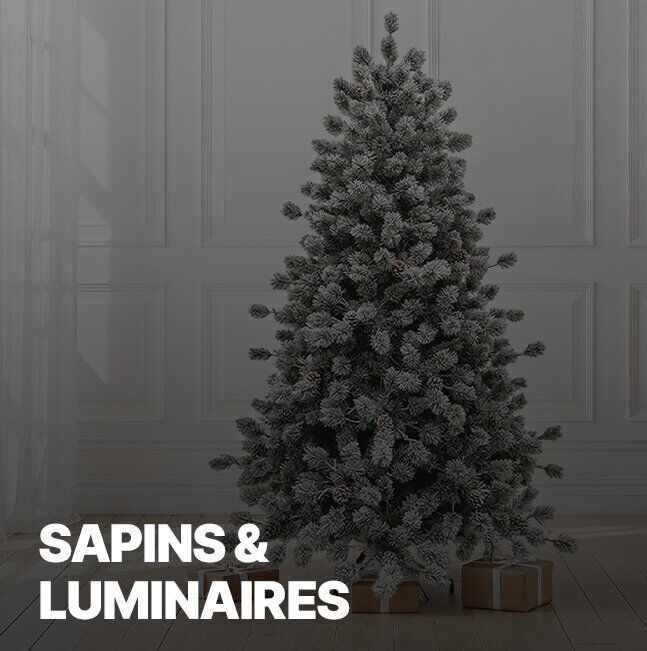 Vente Privée Sapins & luminaires