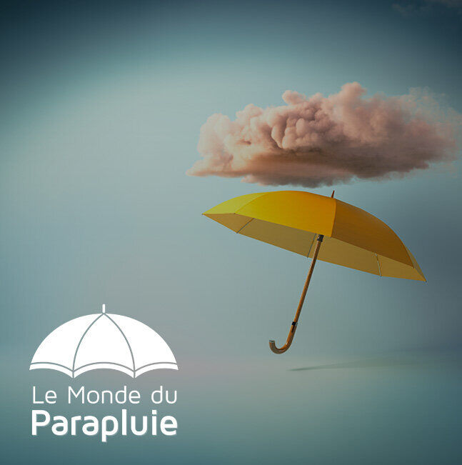 Vente Privée Le Monde du Parapluie