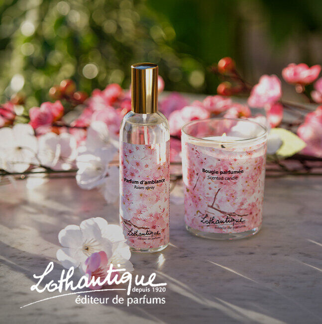 Vente Privée Lothantique