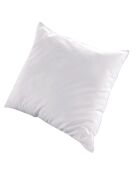 Oreiller Duvet Natura banc - 60x60 cm
