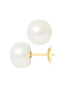 Boucles d'oreilles Or Jaune Perles d'Eau Douce Boutons blanches