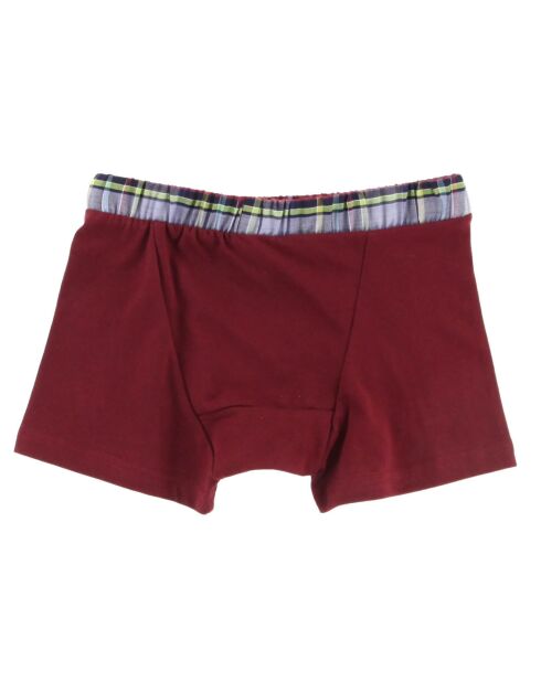 Boxer uni bordeaux