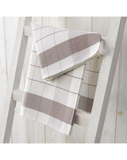 2 strofinacci misti bianchi/funghi - 68x68 cm