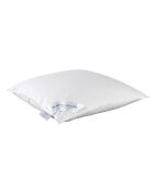 Oreiller Dream blanc - 60x70 cm
