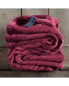 Plaid Softy betterave - 150x200 cm