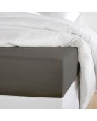 Drap housse 100% Satin de Coton Olivia anthracite