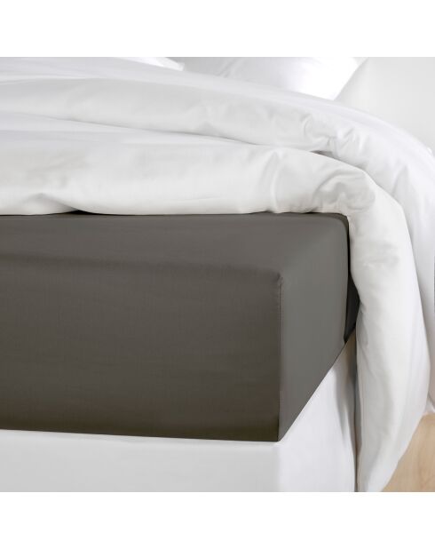 Drap housse 100% Satin de Coton Olivia anthracite