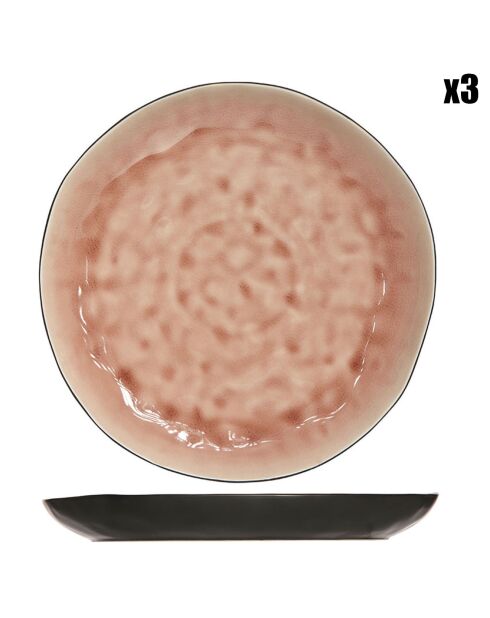 3 Assiettes plates Laguna roses - D.26.5 cm