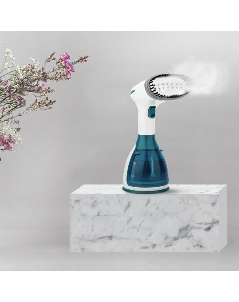 Weiß/blauer Dampfgarer für Kleidung - 1500W