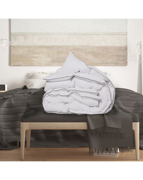 Couette 500gsm plume d'oie anti-acariens colibri - 240x220 cm