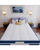 Matrassenset + 1 dekbed + 2 Balthazar wit/blauwe kussens - 160x200 cm