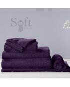 2 Gants de toilette aubergine - 16x21 cm