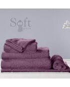 2 Gants de toilette prune - 16x21 cm