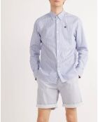 Chemise droite Stripe Oxford bleu marine/blanc