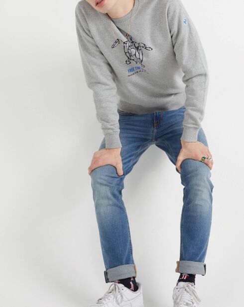 Sweat Recicle Tortue gris