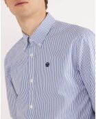 Chemise droite Stripe Oxford bleu marine/blanc