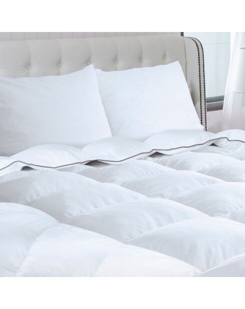 Couette & 2 oreillers plume d'oie anti - acariens blanc - 240x220 cm