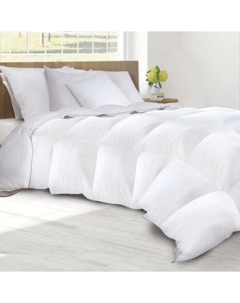 Couette & 2 oreillers plume d'oie anti - acariens blanc - 240x220 cm