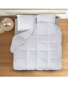 Couette & 2 oreillers plume d'oie anti-acariens blanc - 260x240 cm