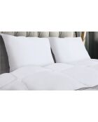 Couette & 2 oreillers plume d'oie anti-acariens blanc - 260x240 cm