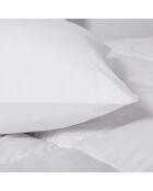 Couette & 2 oreillers plume d'oie anti-acariens blanc - 260x240 cm