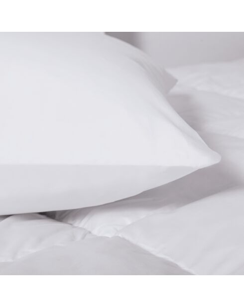 Couette & 2 oreillers plume d'oie anti-acariens blanc - 260x240 cm