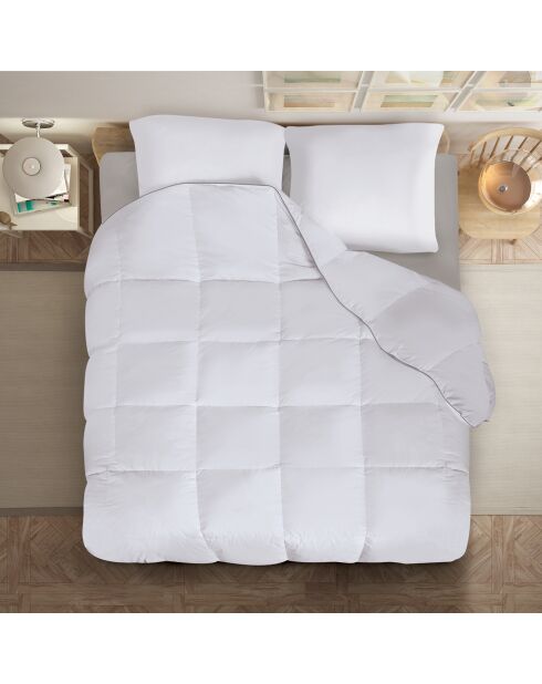 Couette & 2 oreillers plume d'oie anti-acariens blanc - 260x240 cm