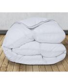 Couette plume d'oie anti-acariens colibri blanc - 260x240 cm